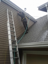 Wildlife prevention home services